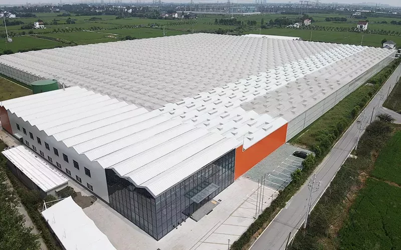 Glass Grainhouse охоплює передові технології для сталого сільського господарства